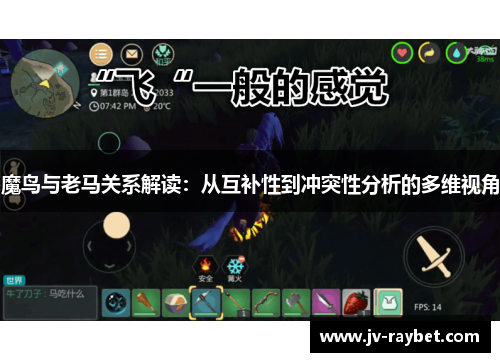 魔鸟与老马关系解读：从互补性到冲突性分析的多维视角